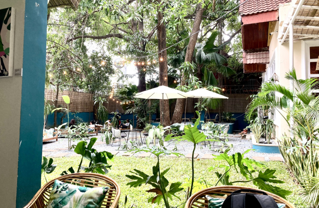 WILD - Creative Bar & Spring Rolls Restaurant Phnom Penh Cambodia place_thumb