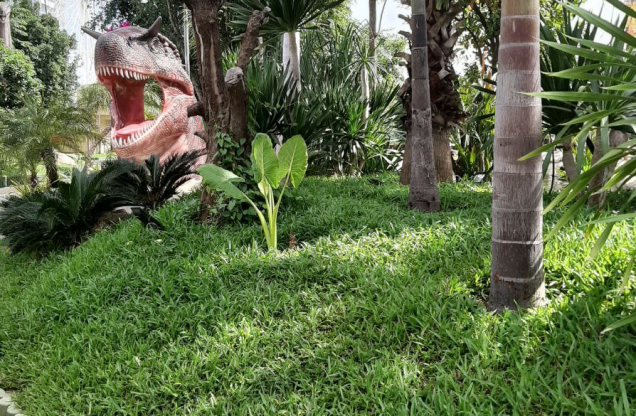 Dinosaurs Alive Phnom Penh Cambodia image