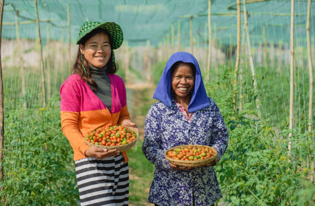 Khmer Organic Shop (BKK) Phnom Penh Cambodia image